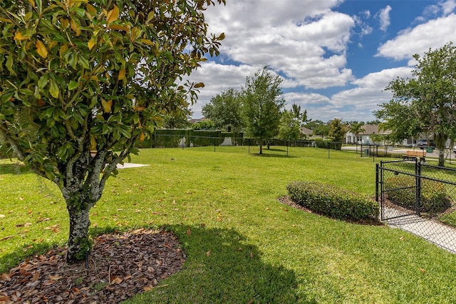 15208 Lake Claire Overlook Dr, Winter Garden, FL 34787 - view of yard featuring a gate