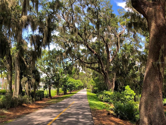 15208 Lake Claire Overlook Dr, Winter Garden, FL 34787 - view of community