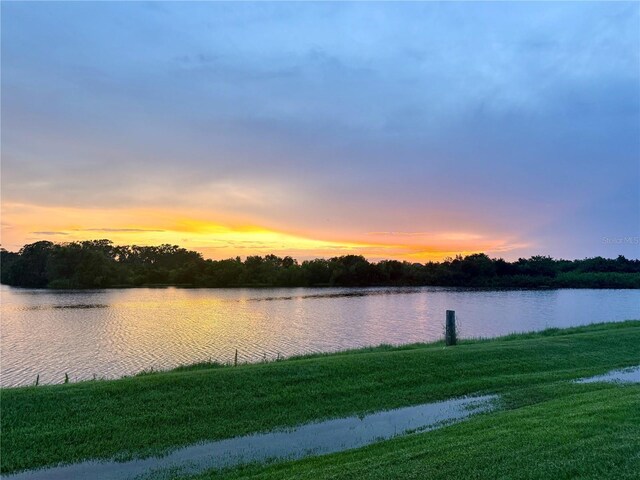 15208 Lake Claire Overlook Dr, Winter Garden, FL 34787 - water view