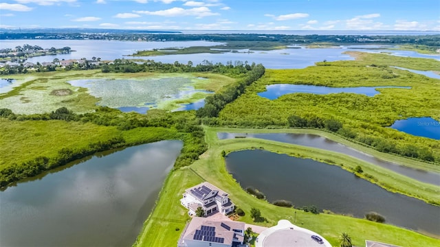 15208 Lake Claire Overlook Dr, Winter Garden, FL 34787 - photo 2