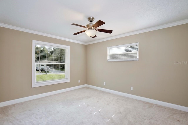 2320 Wekiva Ridge Rd, Apopka, FL 32712 - spare room with crown molding, healthy amount of natural light, baseboards, and light colored carpet