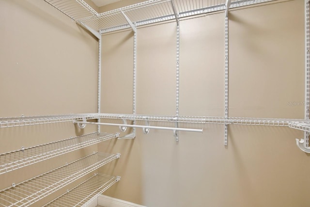 2320 Wekiva Ridge Rd, Apopka, FL 32712 - view of spacious closet