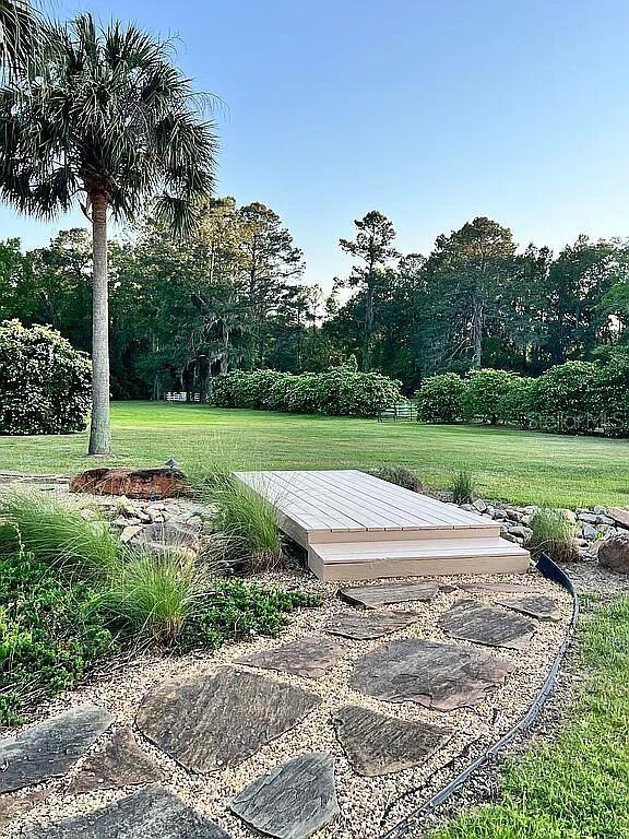 11317 NW 199th Ave, Alachua, FL 32615 - view of green lawn