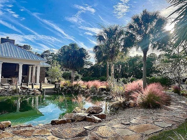11317 NW 199th Ave, Alachua, FL 32615 - view of yard with a garden pond