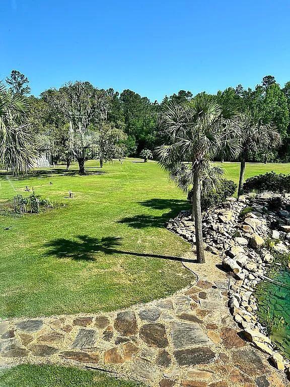 11317 NW 199th Ave, Alachua, FL 32615 - view of grassy yard