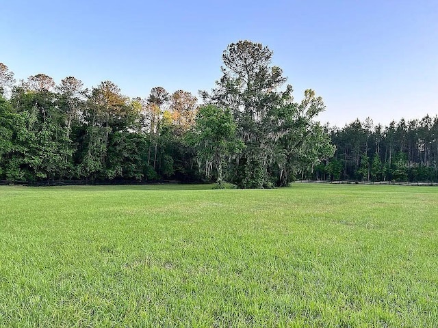 11317 NW 199th Ave, Alachua, FL 32615 - view of grassy yard with a view of trees