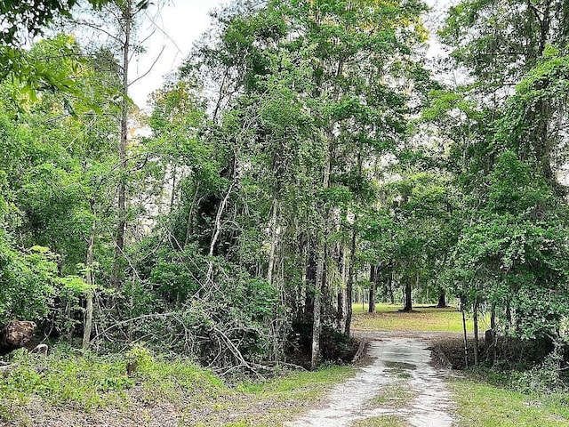 11317 NW 199th Ave, Alachua, FL 32615 - view of dirt / gravel road