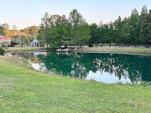 11317 NW 199th Ave, Alachua, FL 32615 - water view