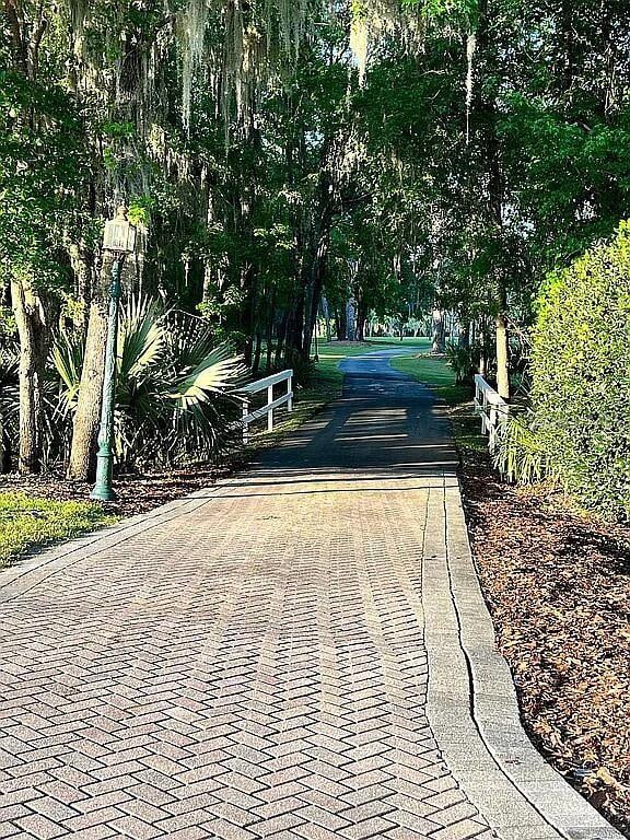 11317 NW 199th Ave, Alachua, FL 32615 - view of surrounding community