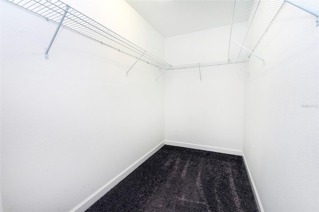1748 Thetford Cir, Orlando, FL 32824 - spacious closet with dark carpet
