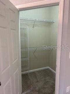 8775 Sartori St Unit 307, Orlando, FL 32829 - view of closet