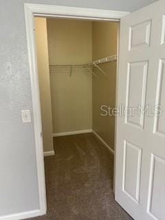 8775 Sartori St Unit 307, Orlando, FL 32829 - spacious closet with dark carpet