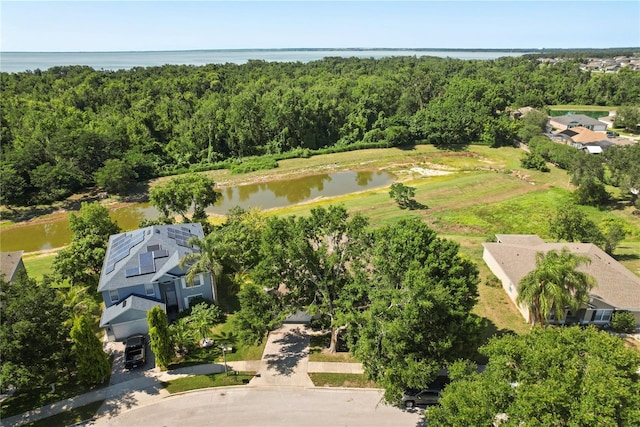 1227 Juniper Hammock St, Winter Garden, FL 34787 - bird's eye view of a nearby body of water