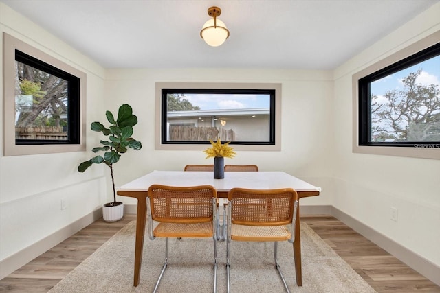 203 Driftwood Dr W, Palm Harbor, FL 34683 - dining room featuring light wood-type flooring and baseboards
