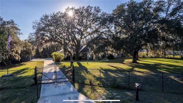 6917 Roman Ct, Clermont, FL 34714 - view of front of house with a gate and view of scattered trees