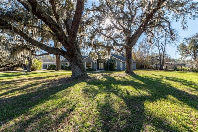 6917 Roman Ct, Clermont, FL 34714 - view of green lawn
