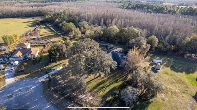 6917 Roman Ct, Clermont, FL 34714 - view of property location featuring a forest