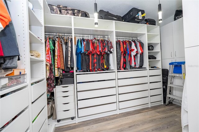 6917 Roman Ct, Clermont, FL 34714 - walk in closet featuring light wood-style floors