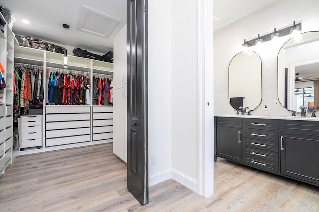 6917 Roman Ct, Clermont, FL 34714 - walk in closet featuring light wood-style flooring, a sink, and attic access