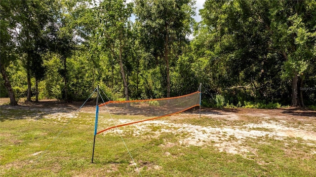 6917 Roman Ct, Clermont, FL 34714 - view of yard with volleyball court