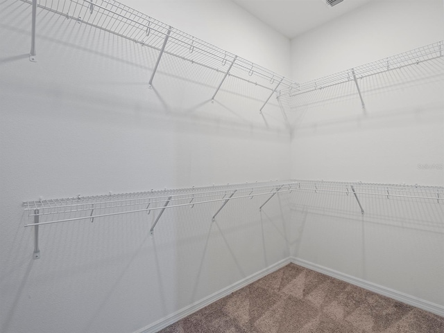 12009 Walmsley Aly, Winter Garden, FL 34787 - walk in closet featuring carpet