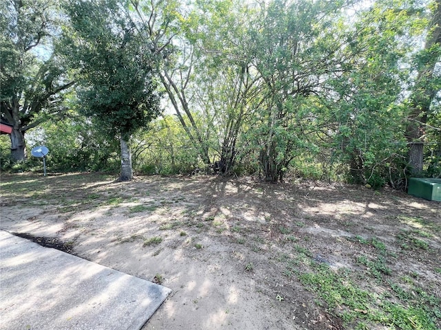 501 Las Palmas Cir Unit 676, Avon Park, FL 33825 - view of yard