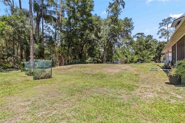 14205 Conifer Dr, Orlando, FL 32832 - photo 53