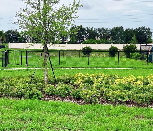 730 Ginger Dr, Haines City, FL 33844 - view of yard