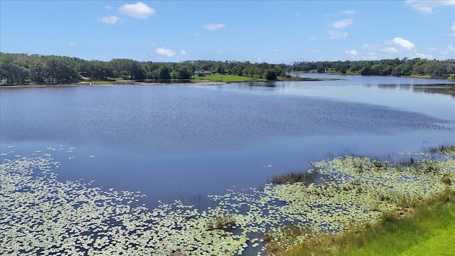 16386 SE 156th Place Rd, Weirsdale, FL 32195 - water view featuring a forest