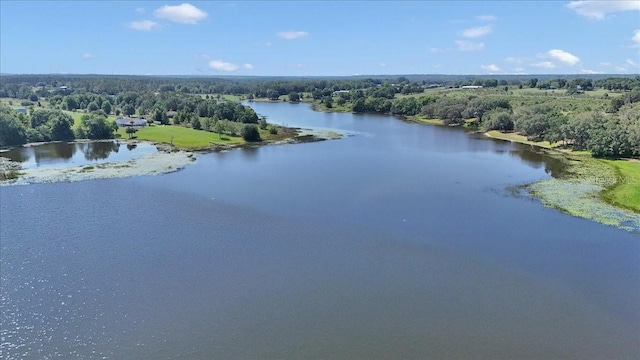 16386 SE 156th Place Rd, Weirsdale, FL 32195 - bird's eye view of a heavily wooded area and a large body of water