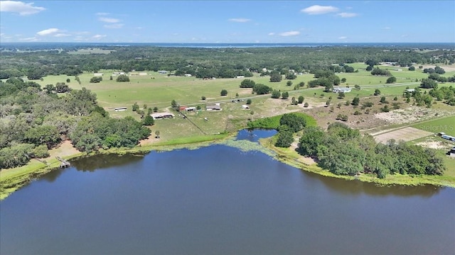 16386 SE 156th Place Rd, Weirsdale, FL 32195 - bird's eye view of a large body of water