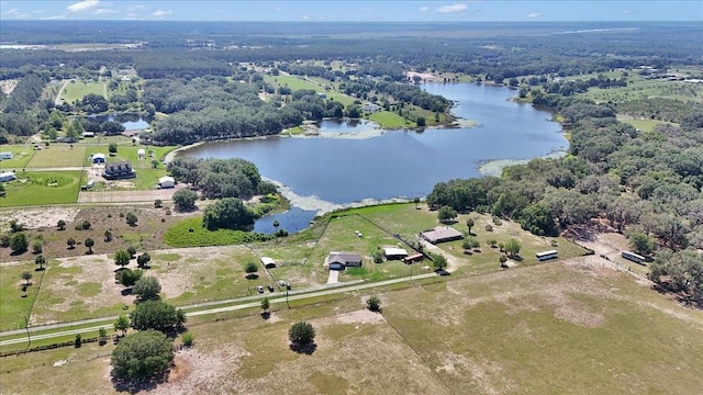 16386 SE 156th Place Rd, Weirsdale, FL 32195 - view of property location featuring a large body of water and a heavily wooded area