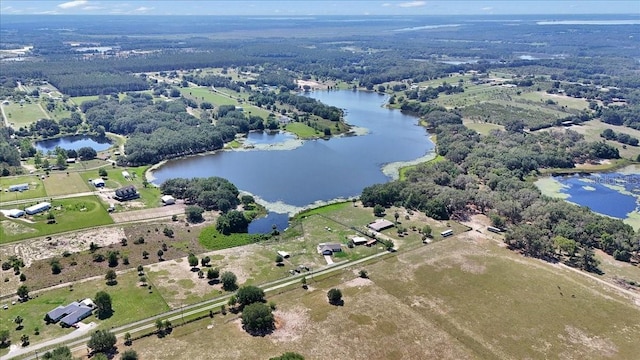 16386 SE 156th Place Rd, Weirsdale, FL 32195 - aerial view of property and surrounding area with a large body of water