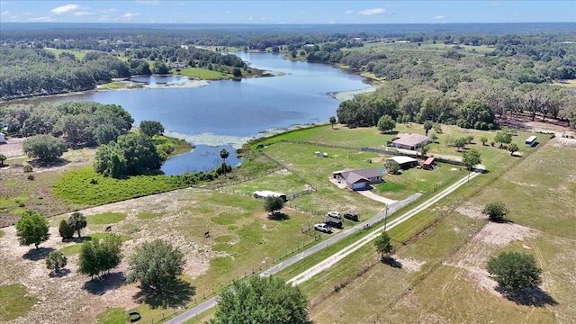 16386 SE 156th Place Rd, Weirsdale, FL 32195 - bird's eye view of a large body of water and a forest