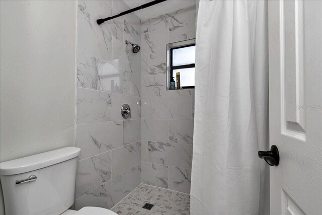 16386 SE 156th Place Rd, Weirsdale, FL 32195 - bathroom featuring toilet and tiled shower