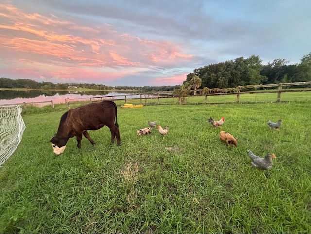 16386 SE 156th Place Rd, Weirsdale, FL 32195 - yard at dusk featuring a water view and a rural view