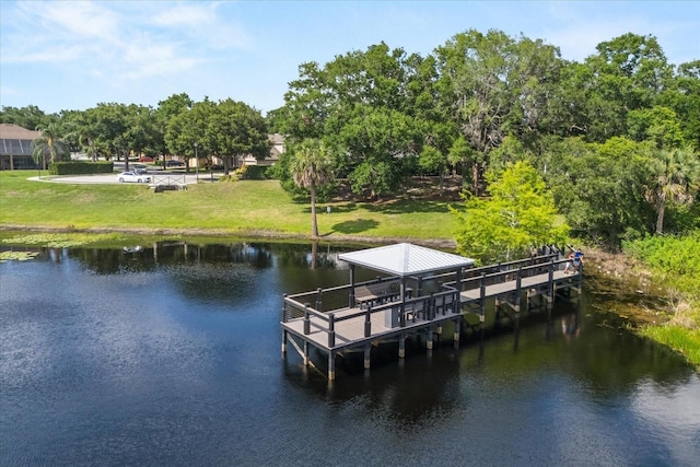 356 Via Tuscany Loop, Lake Mary, FL 32746 - dock with a water view, a yard, and view of scattered trees