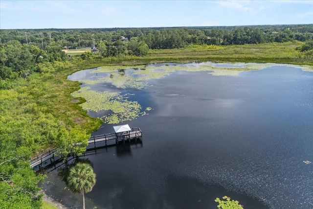 356 Via Tuscany Loop, Lake Mary, FL 32746 - aerial view of a forest and a nearby body of water