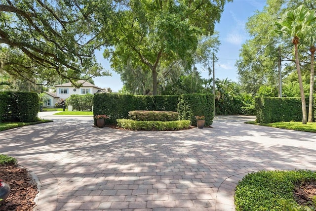 1361 Palmer Ave, Winter Park, FL 32789 - photo 3