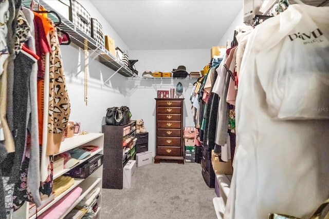 3206 Water Sprite St, Orlando, FL 32808 - photo 18