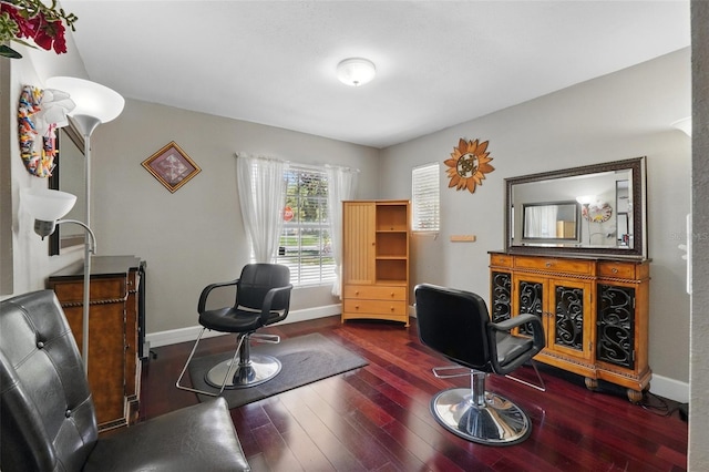205 S Highland Ave, Apopka, FL 32703 - office space featuring wood-type flooring and baseboards