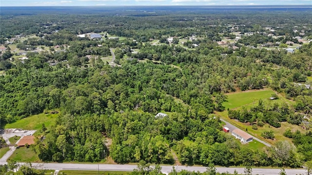 4825 N Fort Christmas Rd, Christmas, FL 32709 - aerial view of property and surrounding area featuring a forest