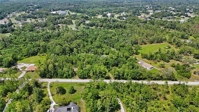 4825 N Fort Christmas Rd, Christmas, FL 32709 - aerial view of property and surrounding area with a heavily wooded area