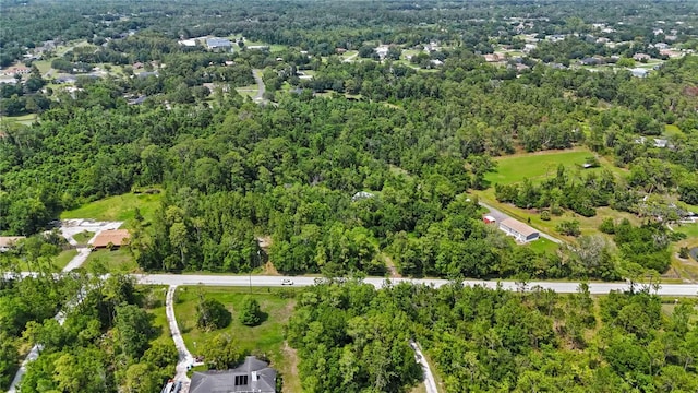 4825 N Fort Christmas Rd, Christmas, FL 32709 - aerial view of property and surrounding area featuring a forest