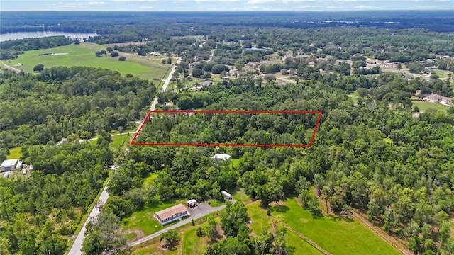 4825 N Fort Christmas Rd, Christmas, FL 32709 - aerial view of property and surrounding area with a heavily wooded area and property boundaries highlighted