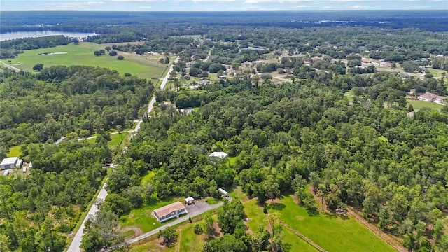 4825 N Fort Christmas Rd, Christmas, FL 32709 - aerial view of property and surrounding area with a heavily wooded area