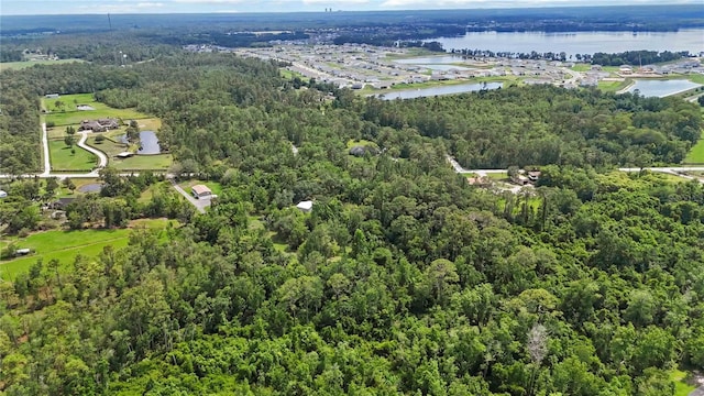 4825 N Fort Christmas Rd, Christmas, FL 32709 - bird's eye view of a large body of water and a forest