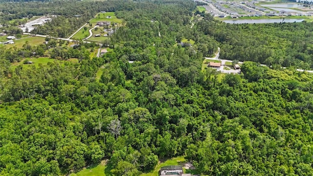 4825 N Fort Christmas Rd, Christmas, FL 32709 - aerial overview of property's location with a forest and a large body of water