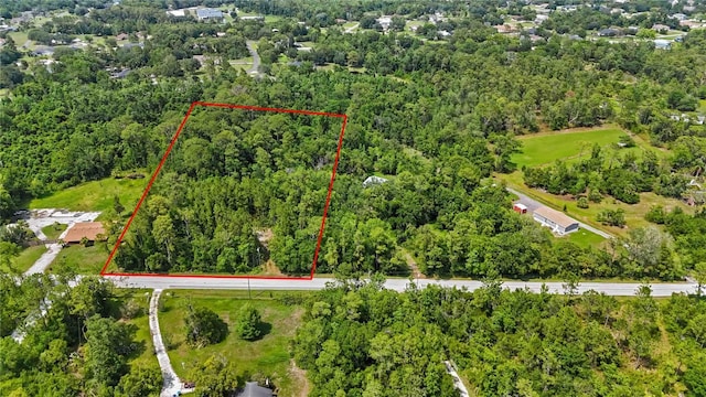 4825 N Fort Christmas Rd, Christmas, FL 32709 - aerial view of property's location featuring property boundaries highlighted and a forest