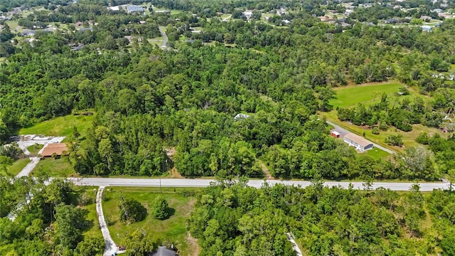 4825 N Fort Christmas Rd, Christmas, FL 32709 - aerial overview of property's location with a forest